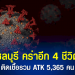 ชาวบ้านผวา-หมูป่าไล่ทำร้ายเด็กได้รับบาดเจ็บ-2-คน-จ.ยะลา